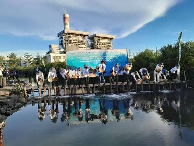 Kegiatan penanaman mangrove PT SGPJB