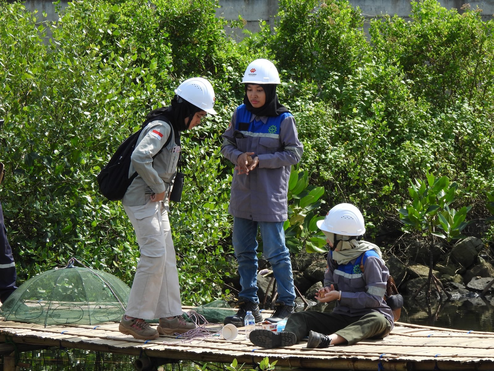 Tim survei mengamati fauna hasil tangkapan bubu di kawasan mangrove