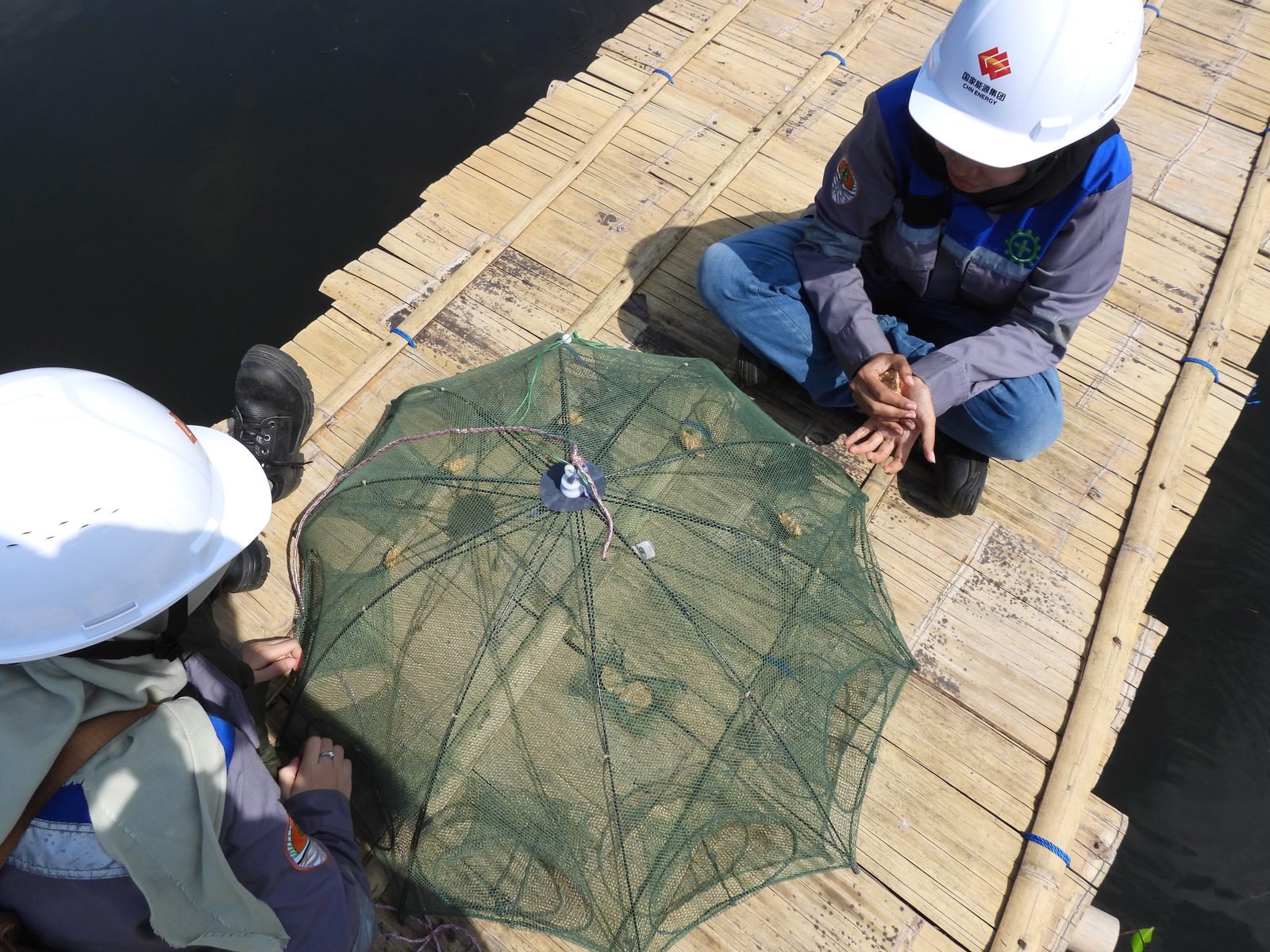 Pemeriksaan alat tangkap bubu untuk survei fauna akuatik